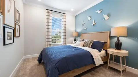 3816 Immacolata Way Wesley Chapel FL 33543