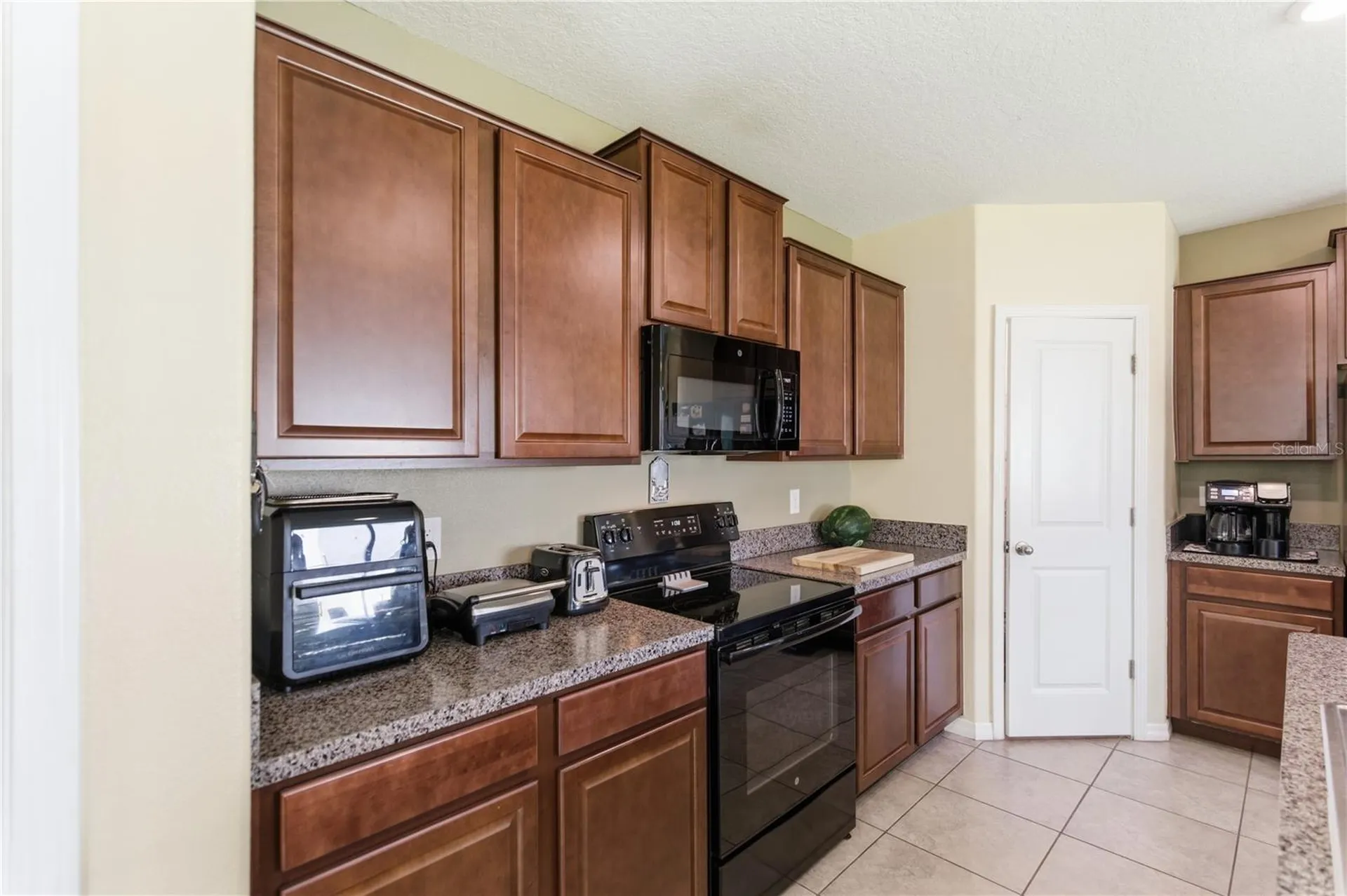 10206 Cool Waterlily Avenue Riverview FL 33578
