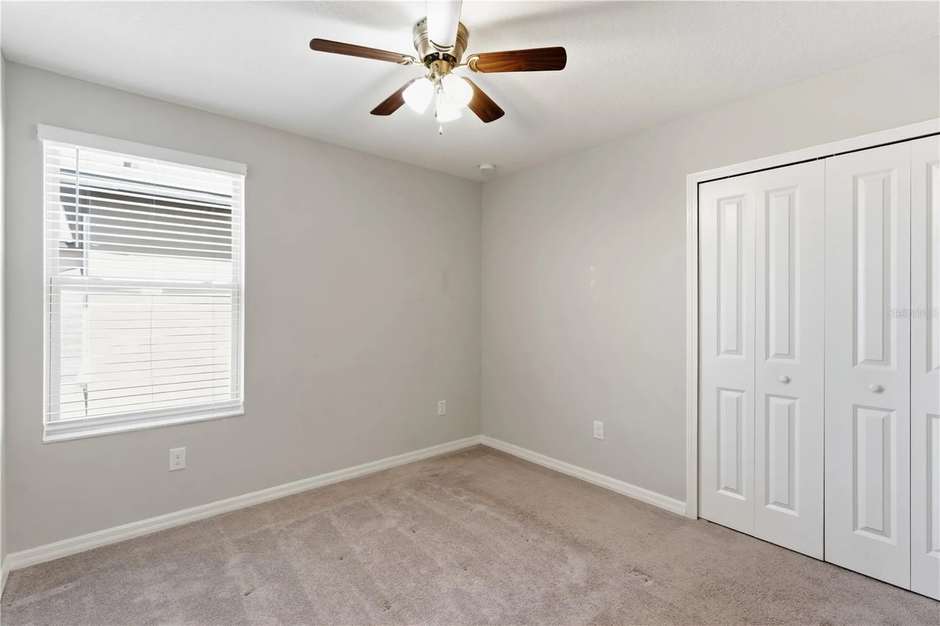 10206 Cool Waterlily Avenue Riverview FL 33578