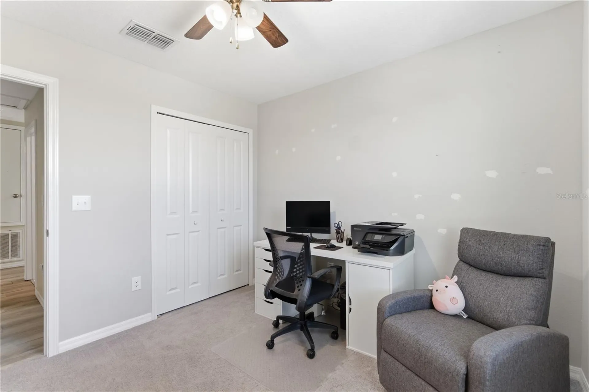10206 Cool Waterlily Avenue Riverview FL 33578