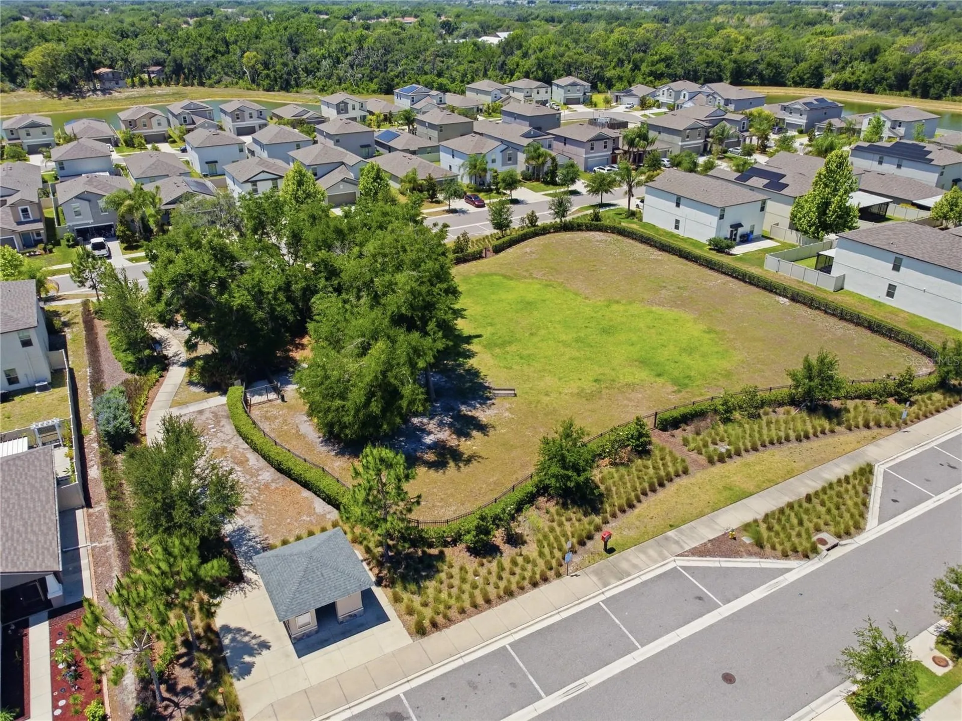 10206 Cool Waterlily Avenue Riverview FL 33578