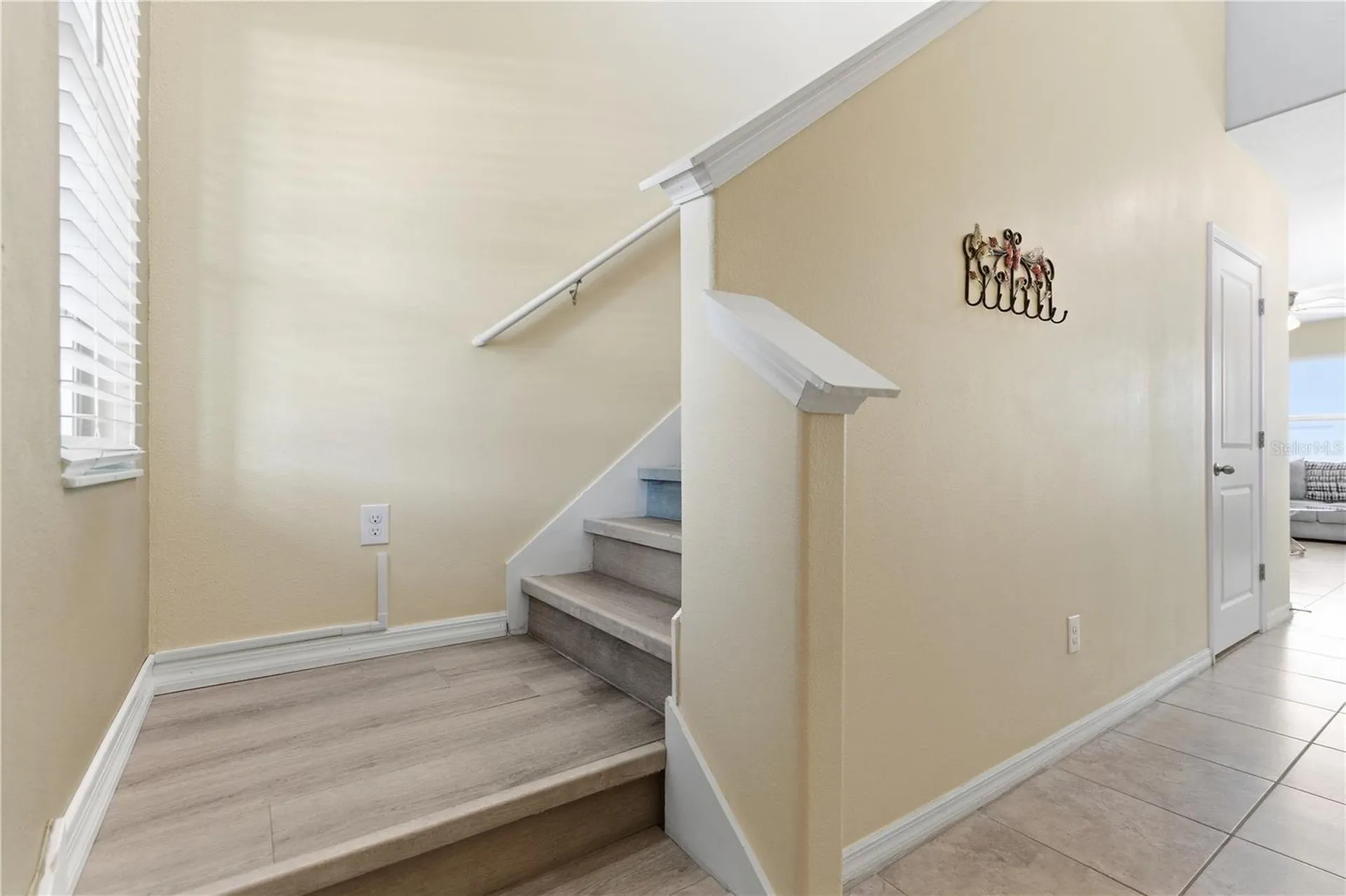 10206 Cool Waterlily Avenue Riverview FL 33578