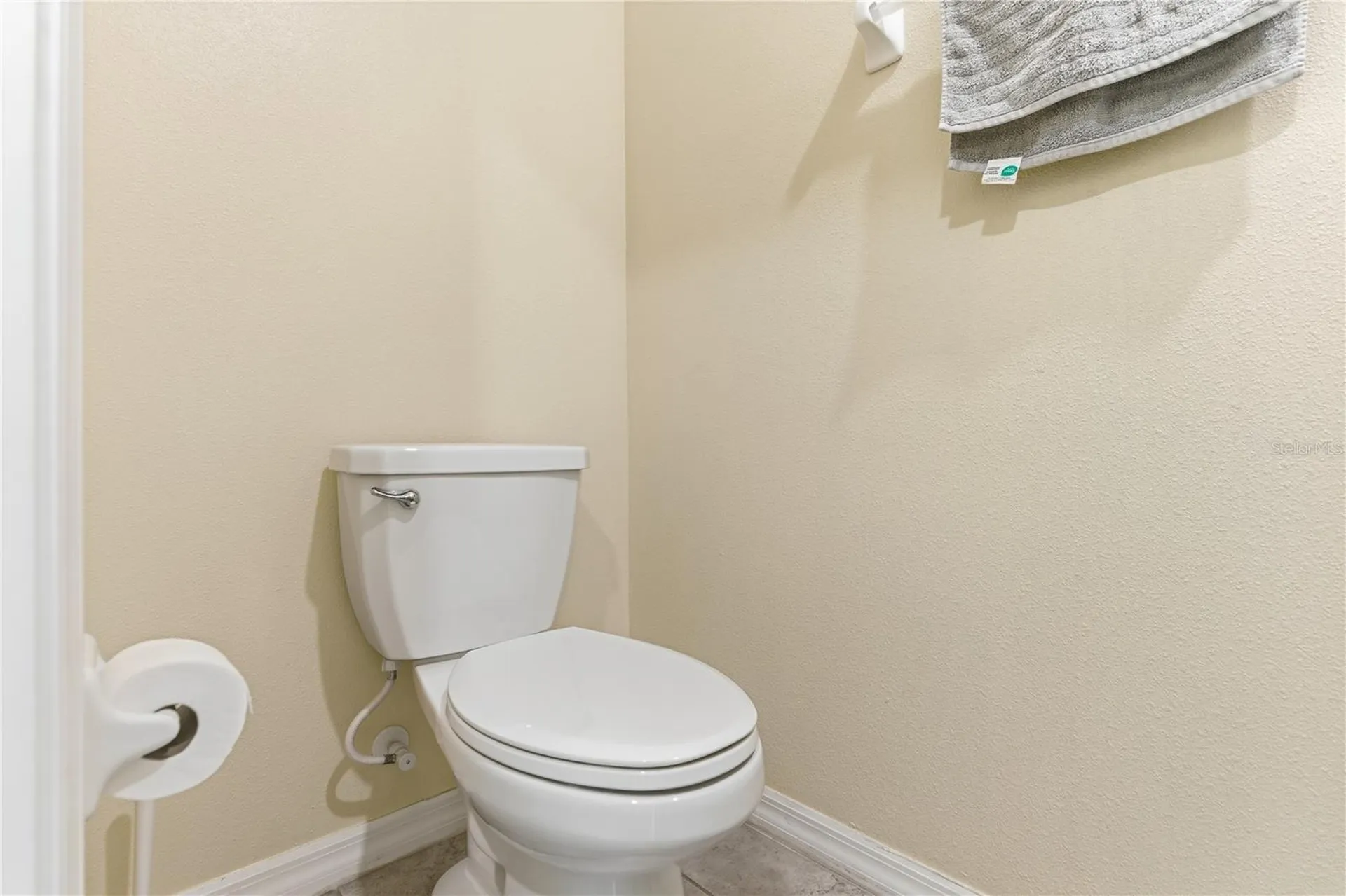 10206 Cool Waterlily Avenue Riverview FL 33578