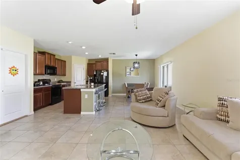 10206 Cool Waterlily Avenue Riverview FL 33578