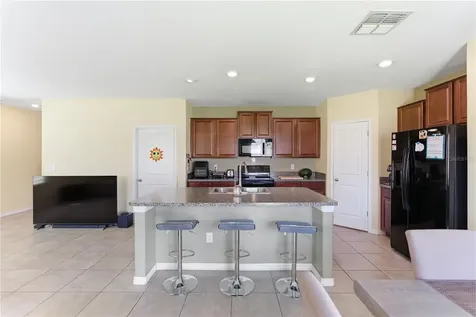 10206 Cool Waterlily Avenue Riverview FL 33578