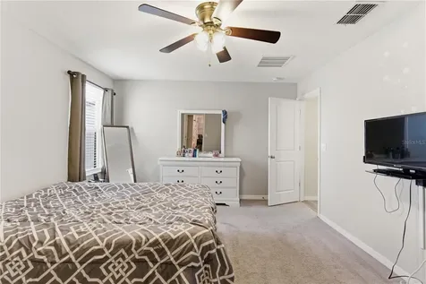 10206 Cool Waterlily Avenue Riverview FL 33578