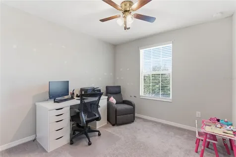 10206 Cool Waterlily Avenue Riverview FL 33578