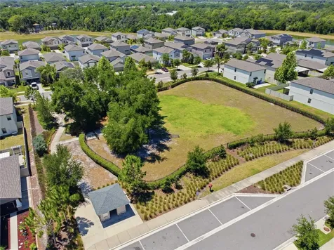 10206 Cool Waterlily Avenue Riverview FL 33578