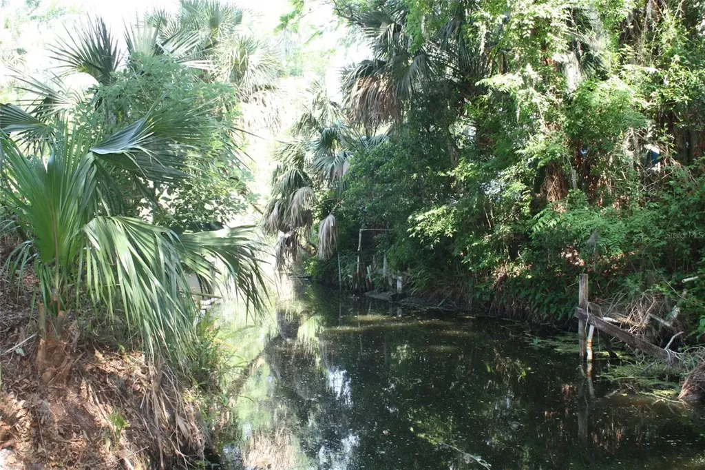 4331 Magnolia Avenue Leesburg FL 34748