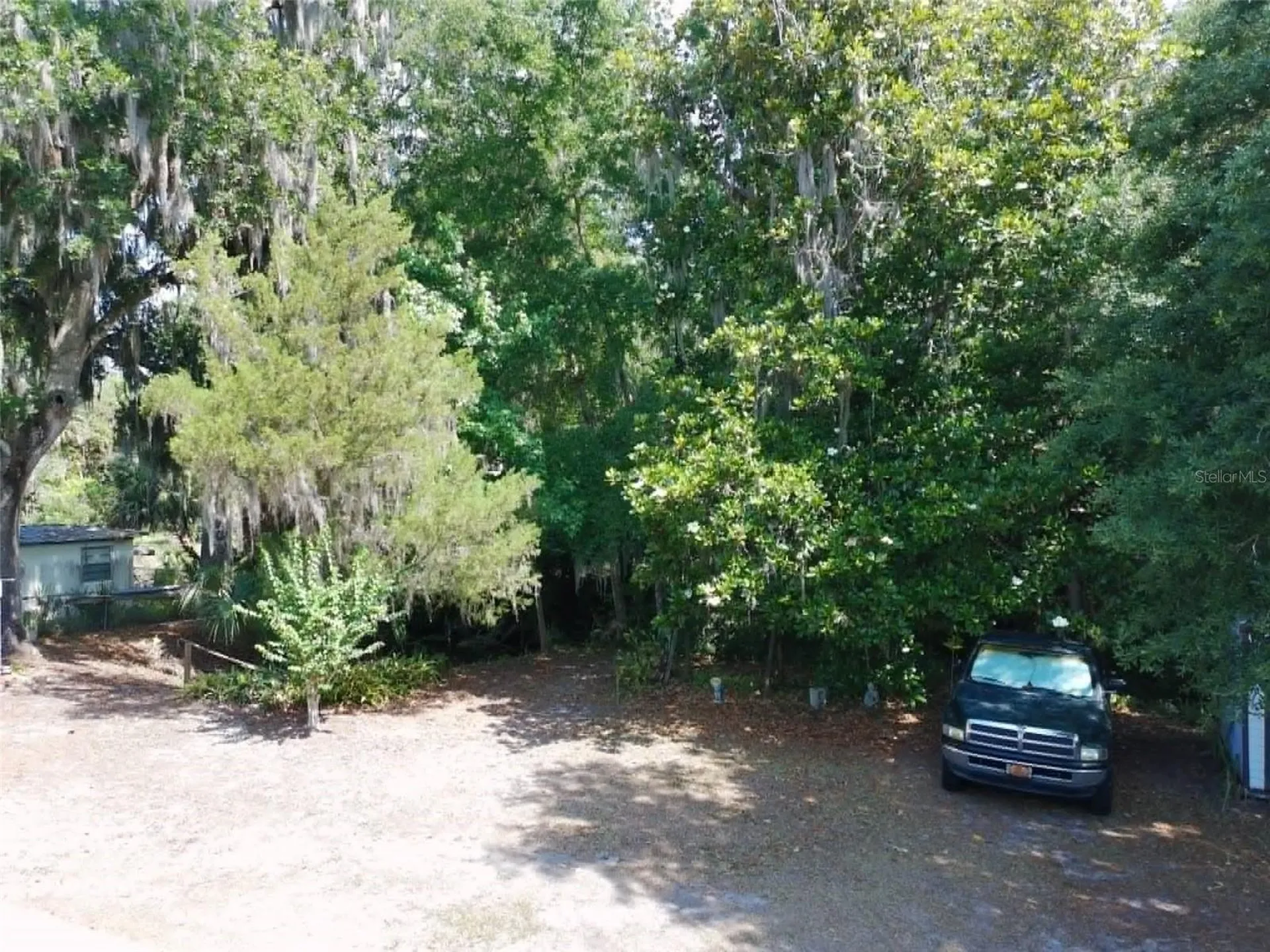 4331 Magnolia Avenue Leesburg FL 34748