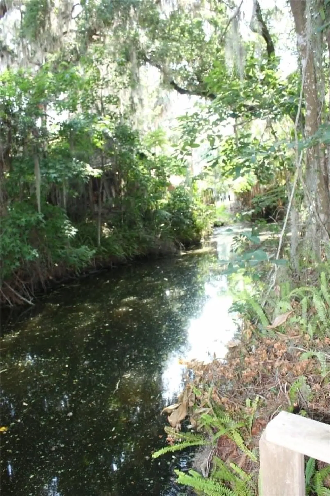 4331 Magnolia Avenue Leesburg FL 34748