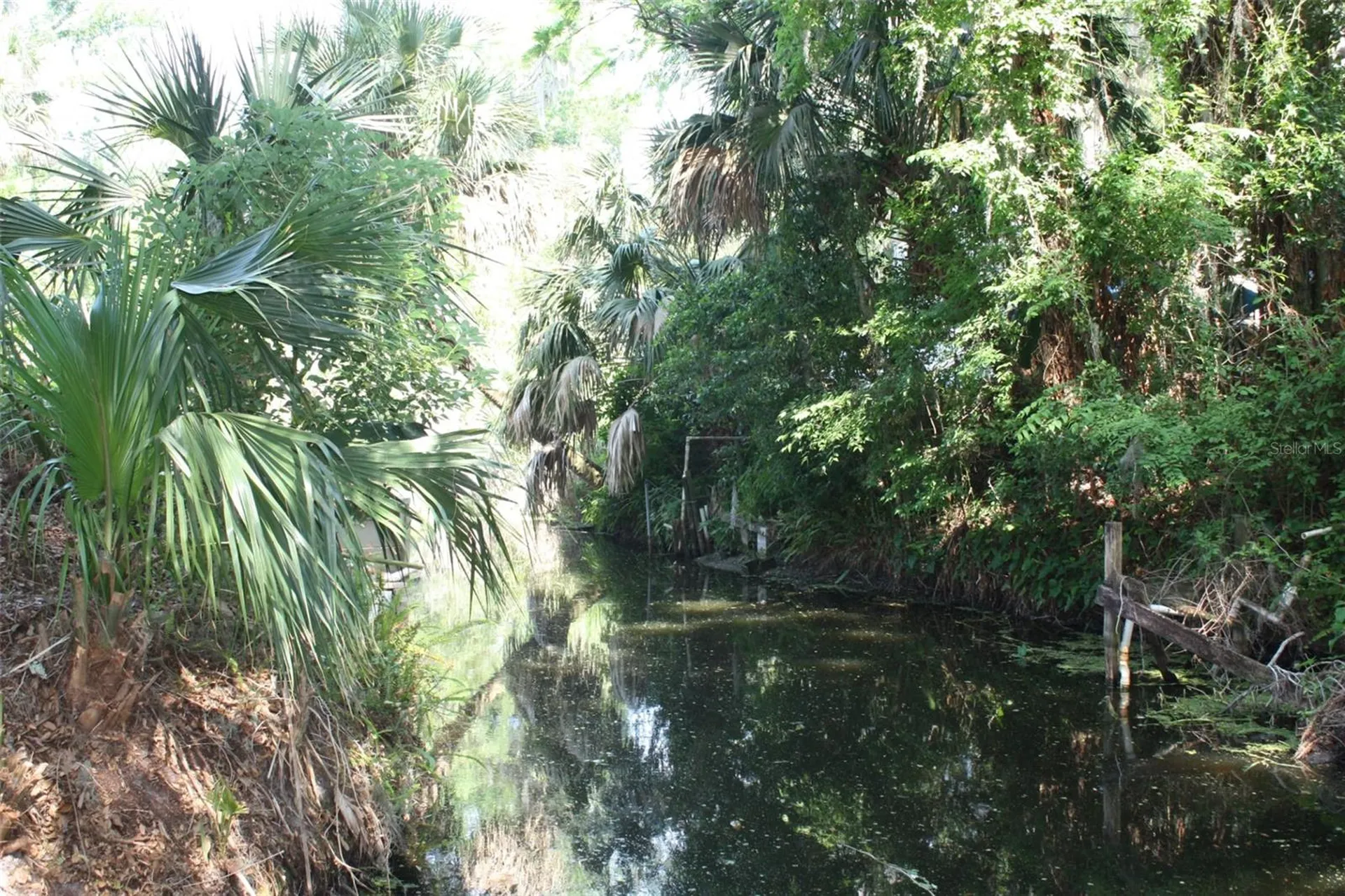 4331 Magnolia Avenue Leesburg FL 34748