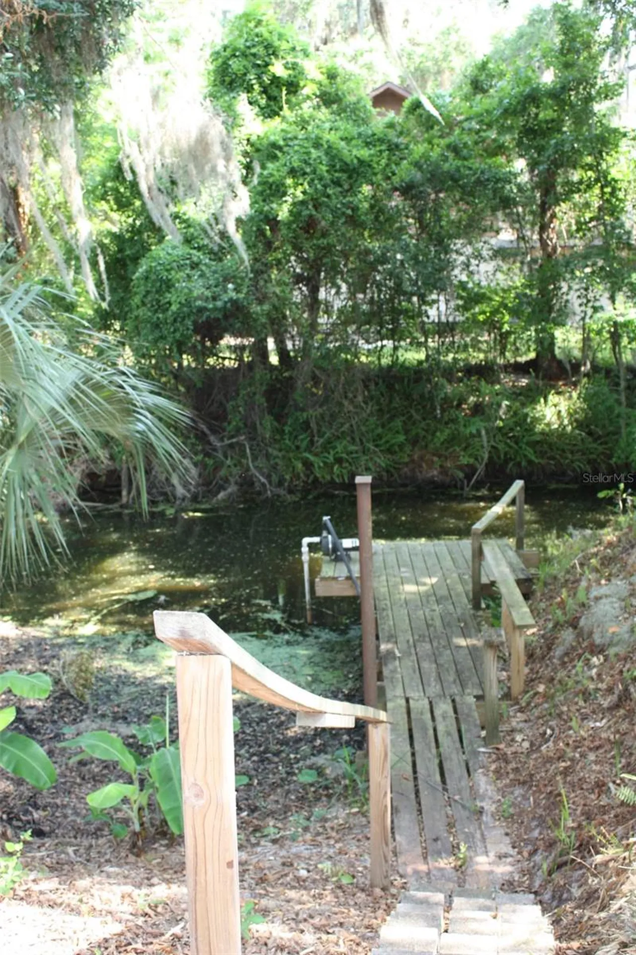 4331 Magnolia Avenue Leesburg FL 34748