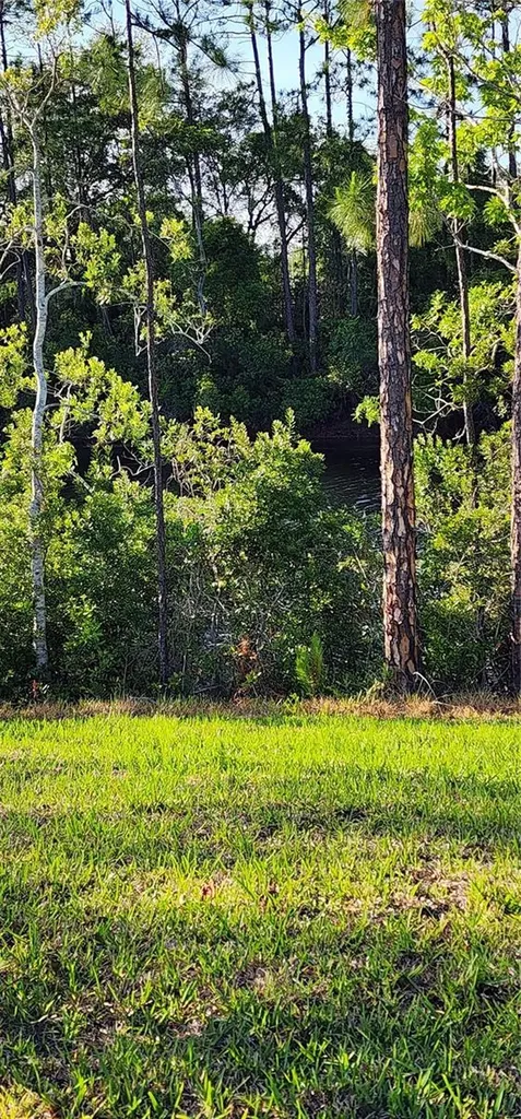 79 Pepperdine Drive Palm Coast FL 32164
