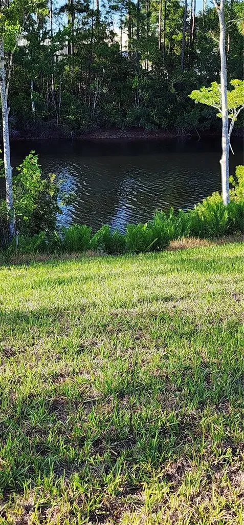 79 Pepperdine Drive Palm Coast FL 32164