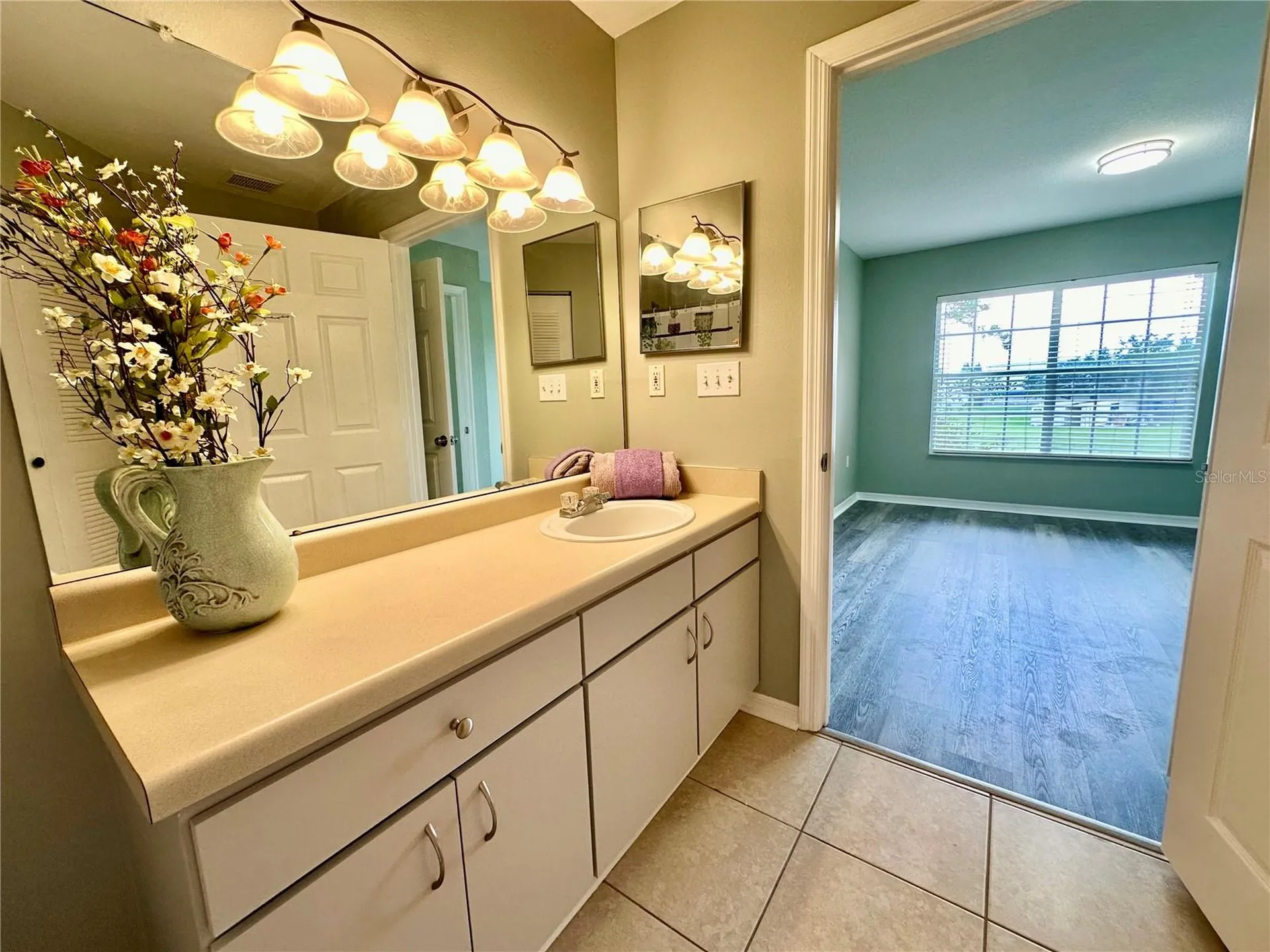 10534 White Lake Court Tampa FL 33626
