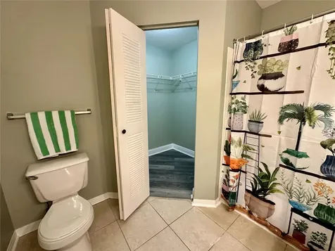 10534 White Lake Court Tampa FL 33626