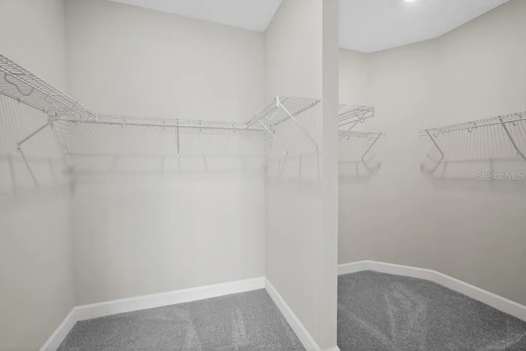 3946 Immacolata Way Wesley Chapel FL 33543
