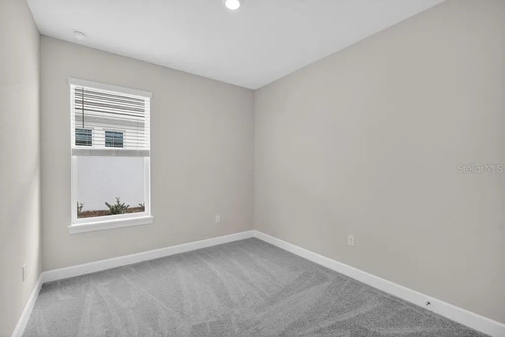3946 Immacolata Way Wesley Chapel FL 33543