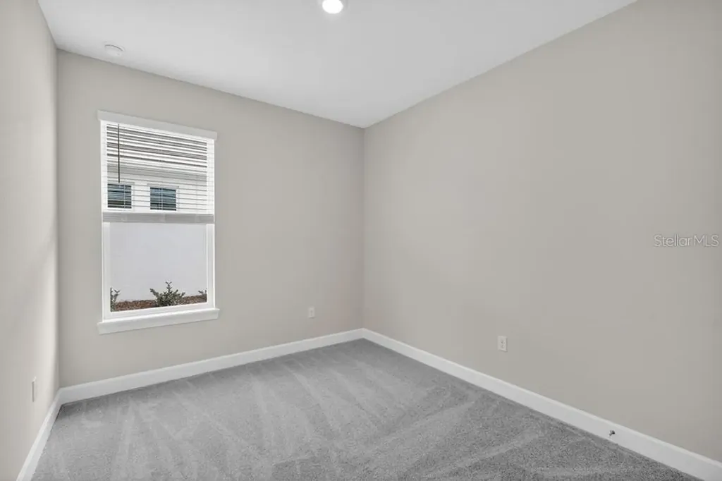 3946 Immacolata Way Wesley Chapel FL 33543