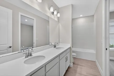 3946 Immacolata Way Wesley Chapel FL 33543