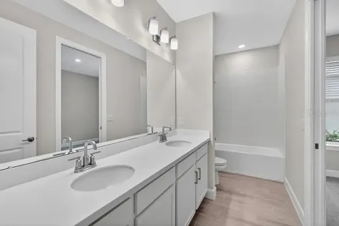 3946 Immacolata Way Wesley Chapel FL 33543