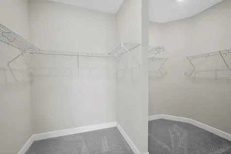 3946 Immacolata Way Wesley Chapel FL 33543