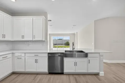3946 Immacolata Way Wesley Chapel FL 33543