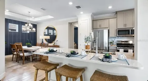 3946 Immacolata Way Wesley Chapel FL 33543