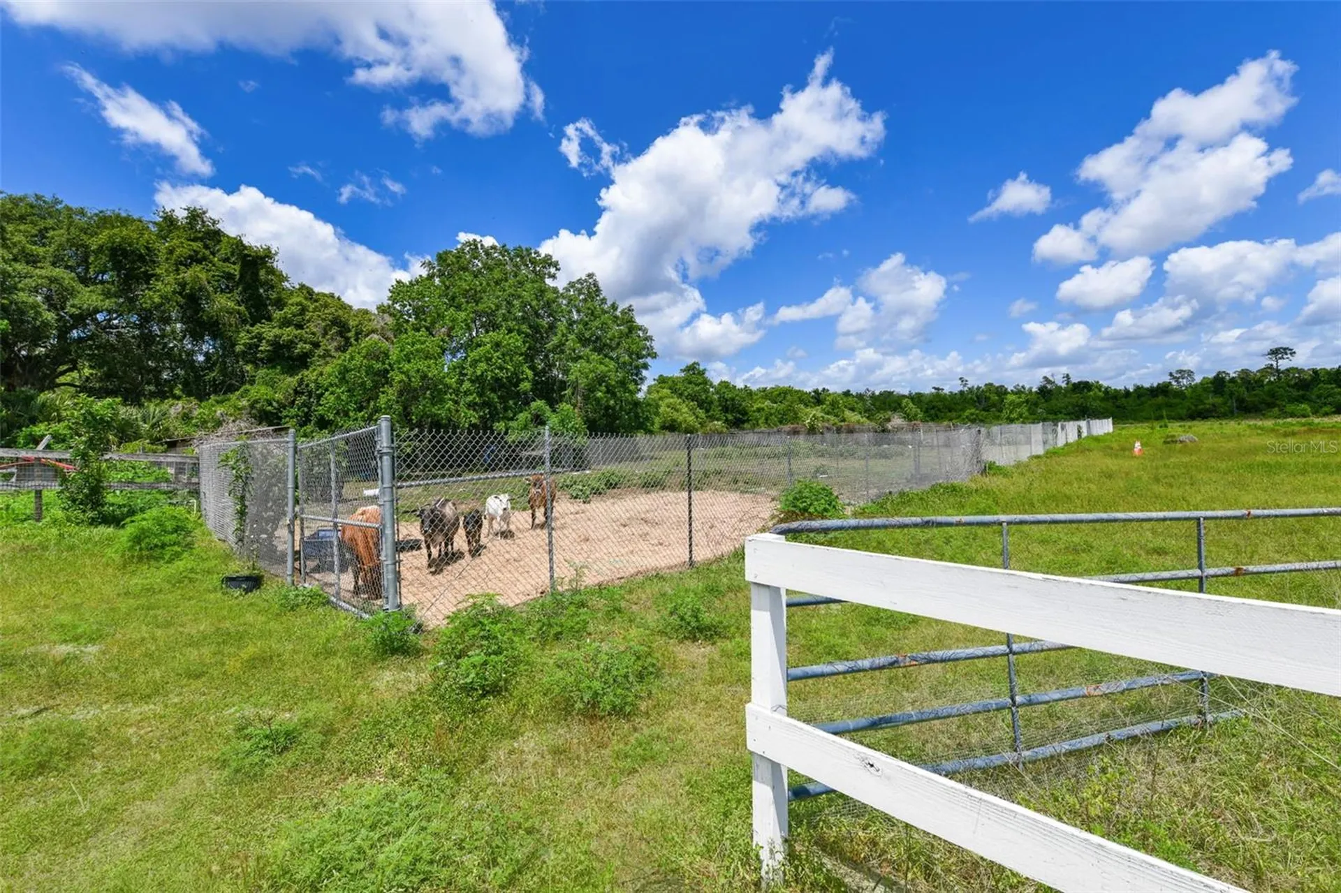 5750 Oak Hollow Lane Oviedo FL 32765