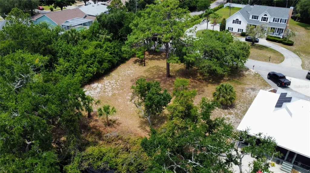 1105 Ashland Tarpon Springs FL 34689