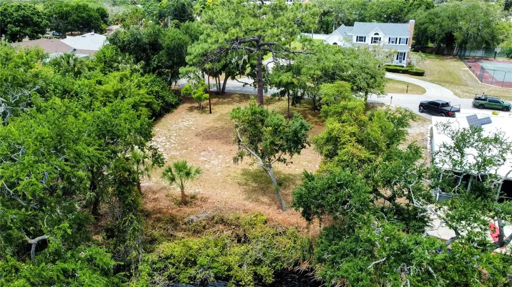 1105 Ashland Tarpon Springs FL 34689