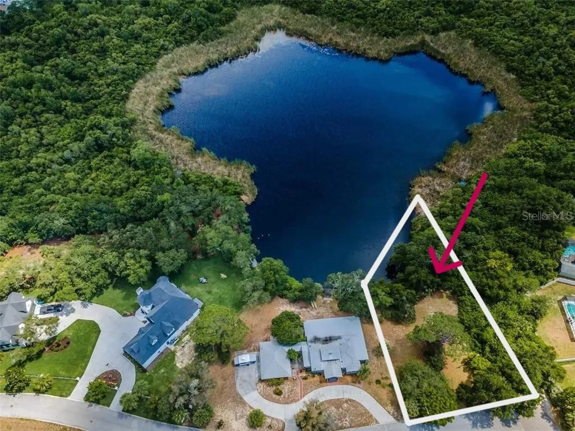 1105 Ashland Tarpon Springs FL 34689