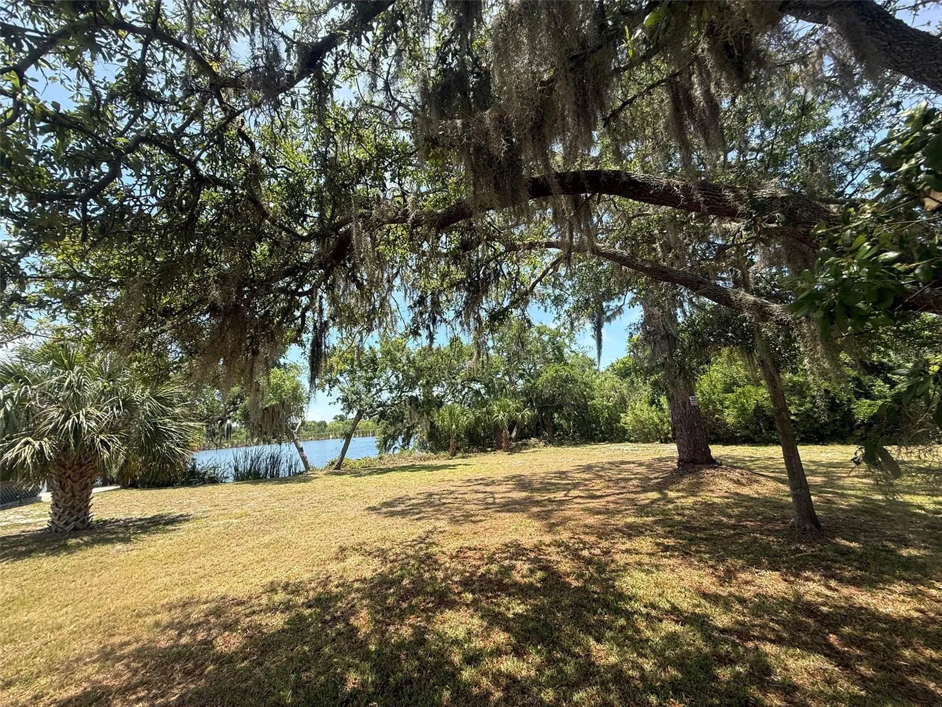 1105 Ashland Tarpon Springs FL 34689