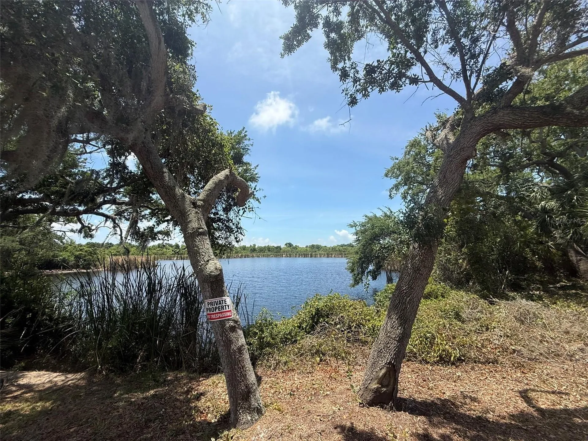 1105 Ashland Tarpon Springs FL 34689