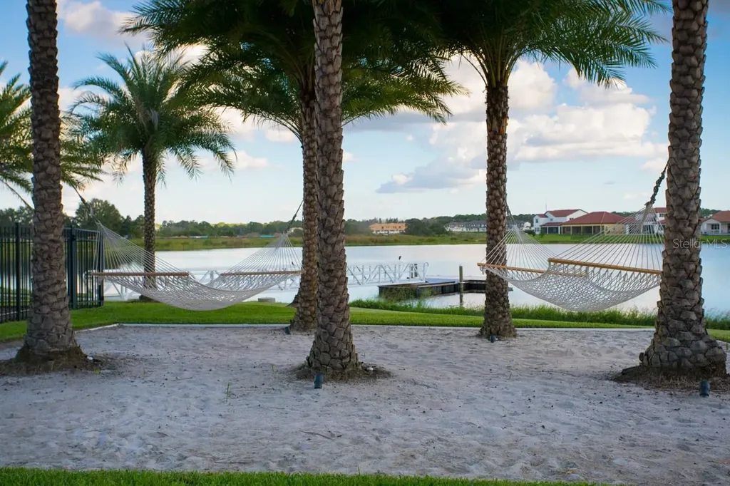 8801 Fountain Palm Alley Winter Garden FL 34787