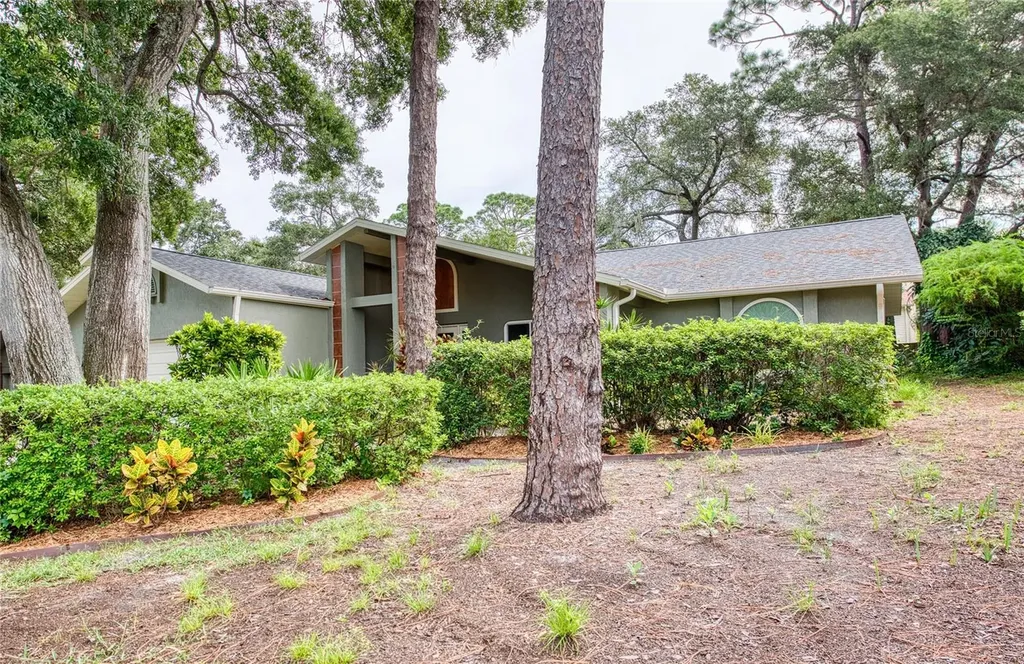 2143 Salisbury Court Palm Harbor FL 34683