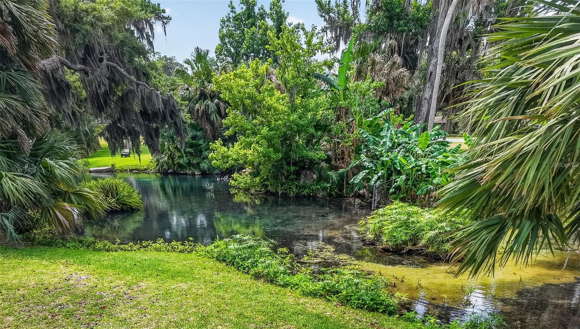 5 Lonesome Pine Trail Yalaha FL 34797
