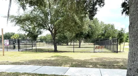 12937 Emersondale Avenue Windermere FL 34786