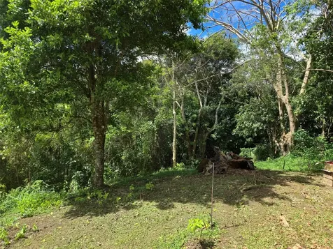 Pr 770 Km 5.5 Cañabón Ward Barranquitas PR 00794