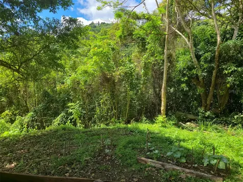 Pr 770 Km 5.5 Cañabón Ward Barranquitas PR 00794