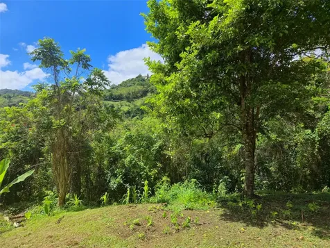 Pr 770 Km 5.5 Cañabón Ward Barranquitas PR 00794