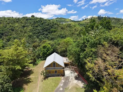 Pr 770 Km 5.5 Cañabón Ward Barranquitas PR 00794