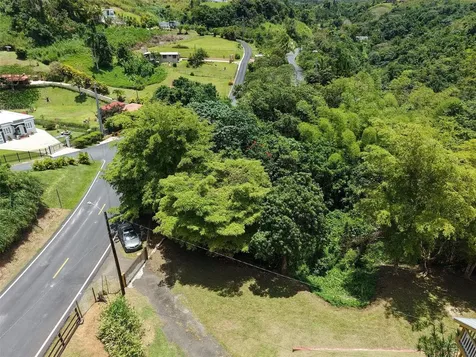 Pr 770 Km 5.5 Cañabón Ward Barranquitas PR 00794