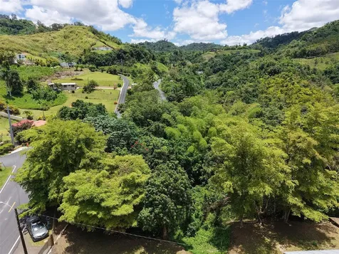 Pr 770 Km 5.5 Cañabón Ward Barranquitas PR 00794