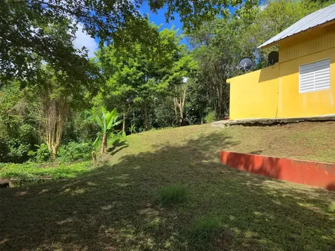 Pr 770 Km 5.5 Cañabón Ward Barranquitas PR 00794