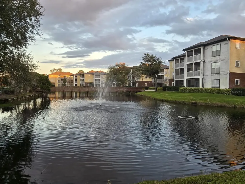 4115 Chatham Oak Court Tampa FL 33624