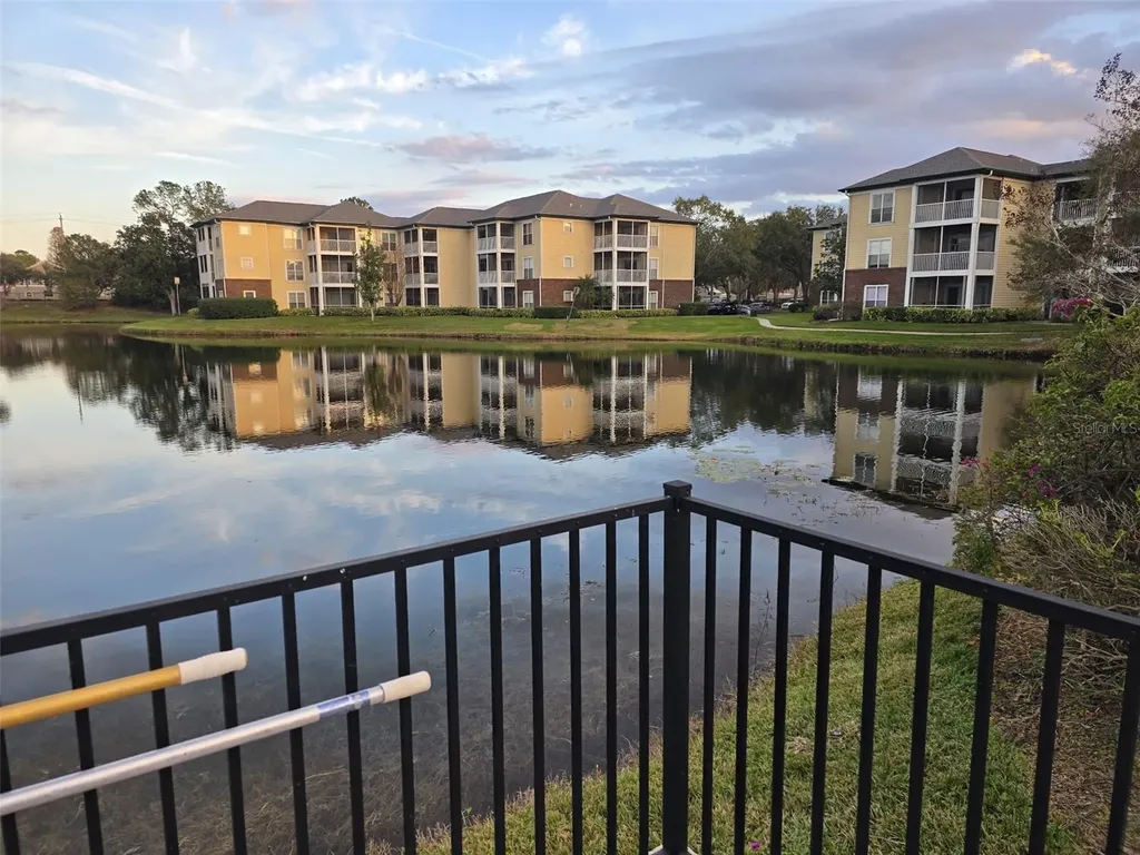 4115 Chatham Oak Court Tampa FL 33624