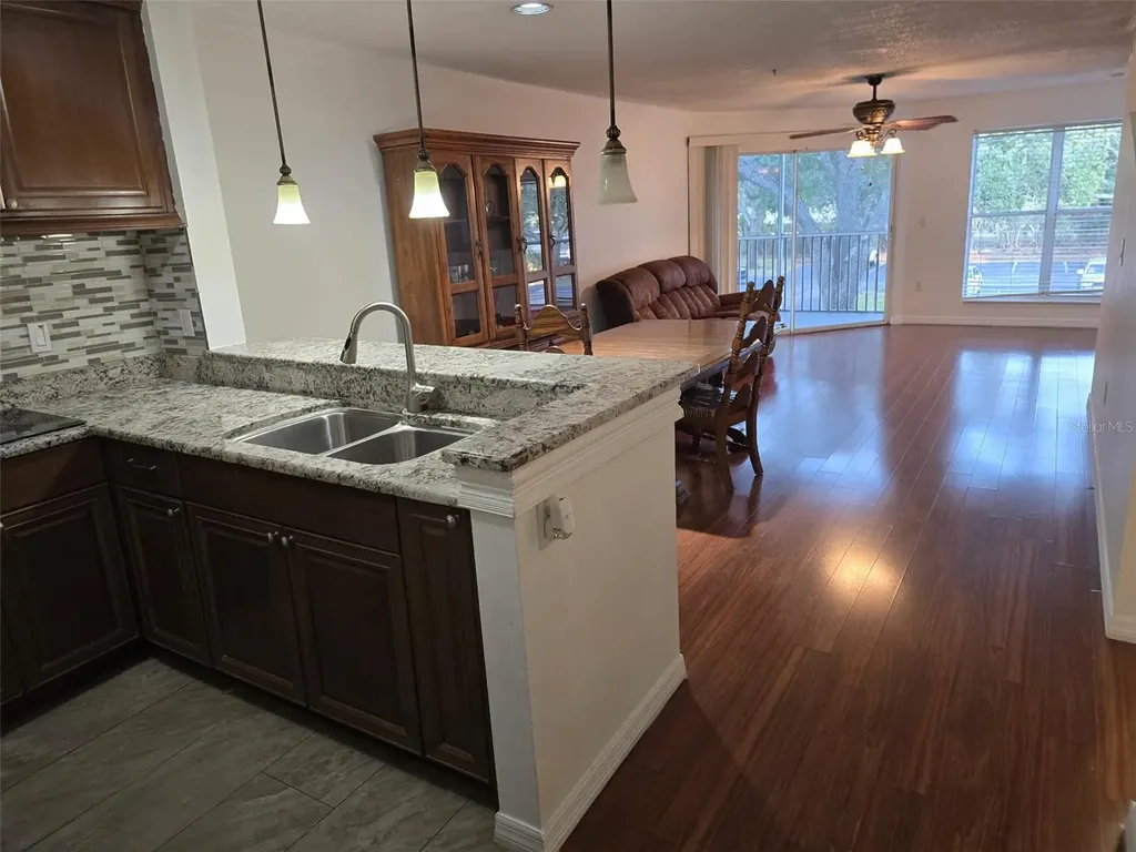 4115 Chatham Oak Court Tampa FL 33624
