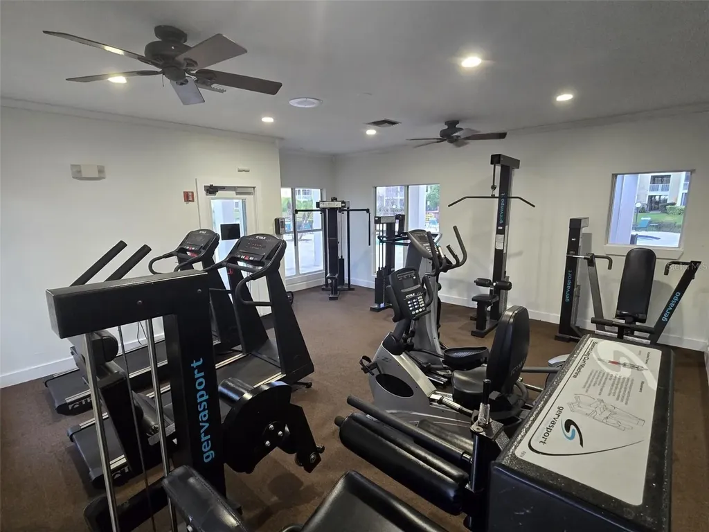 4115 Chatham Oak Court Tampa FL 33624